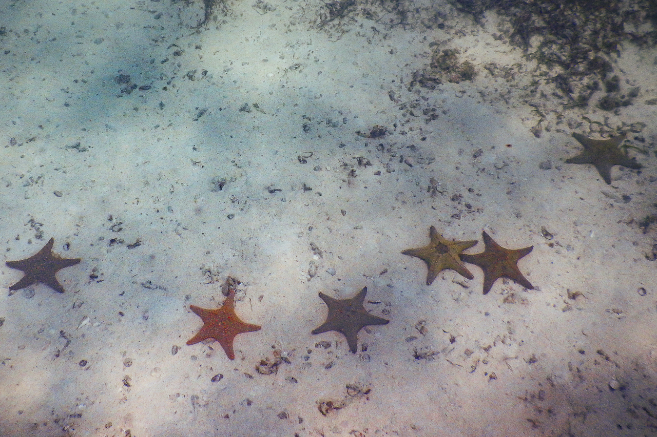 Il mare a Zanzibar offre sempre uno spettacolo impareggiabile