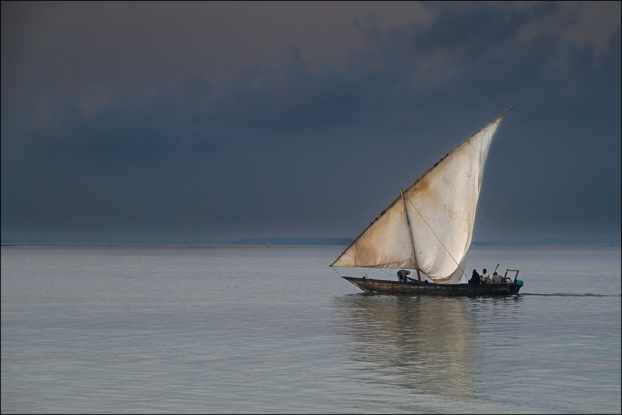 La mattina all'alba al piccolo villaggio di Kendwa, rientrano le barce dalla pesca notturna