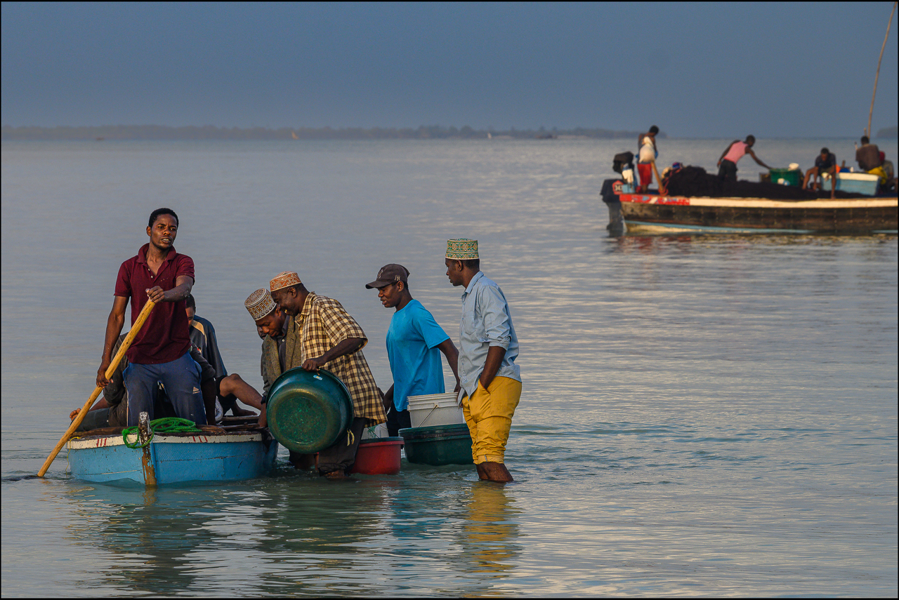 Abitanti intorno alla barca per scegliere il pesce migliore