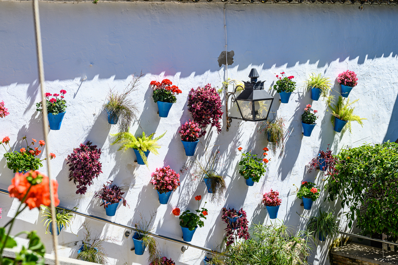 Tipico patio cordovese