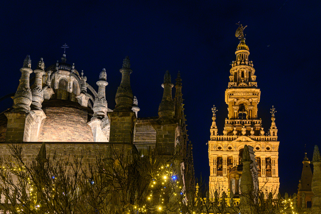 Purtroppo dell'Alcazar abbiamo potuto usufruire solamente del suo cortile intenro, le prenotazioni andavano ben oltre lo scadere del nostro soggiorno.