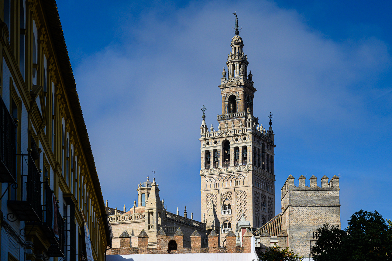 La Giralda presa dal cortile dell'Alcazar