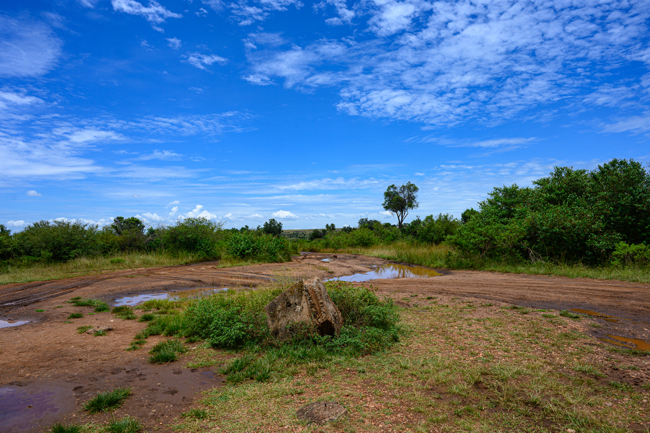 Confine tra Kenya (Masai Mara) e Tanzania (Serengeti)