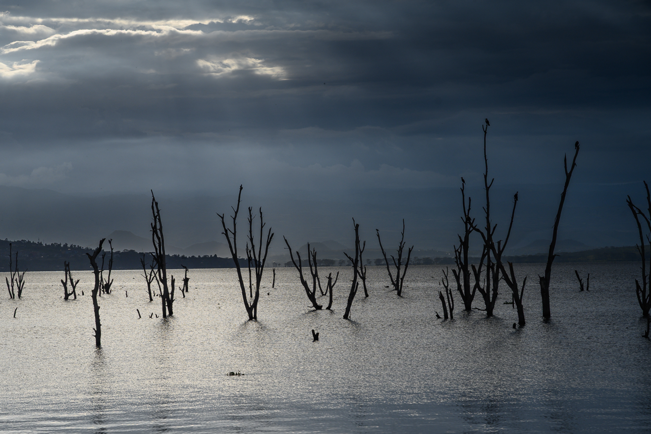 Lago Naivasha - visione spettrale