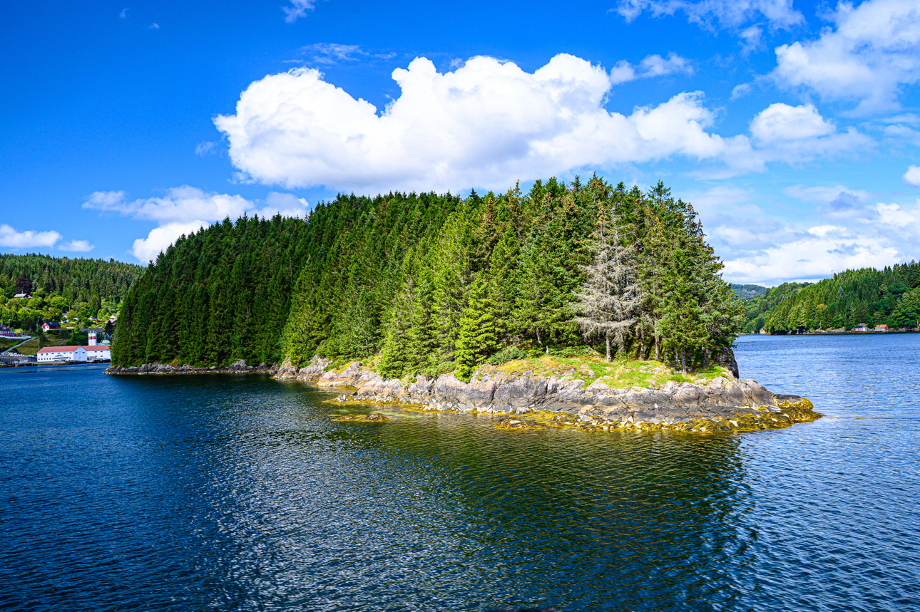 Gli alberi che, alle nostre latitudini, solitamente vediamo in montagna, qui ri riflettono nel mare