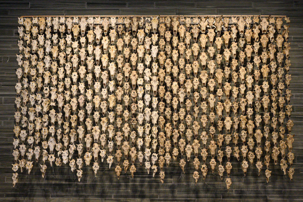 Pile o' S&aacute;pmi Supreme, dell'artista Sami M&aacute;ret &Aacute;nne Sara, si compone di 400 teschi di renna appesi, opera nata per rivendicare le lotte legali e i diritti del popolo Sami in Norvegia