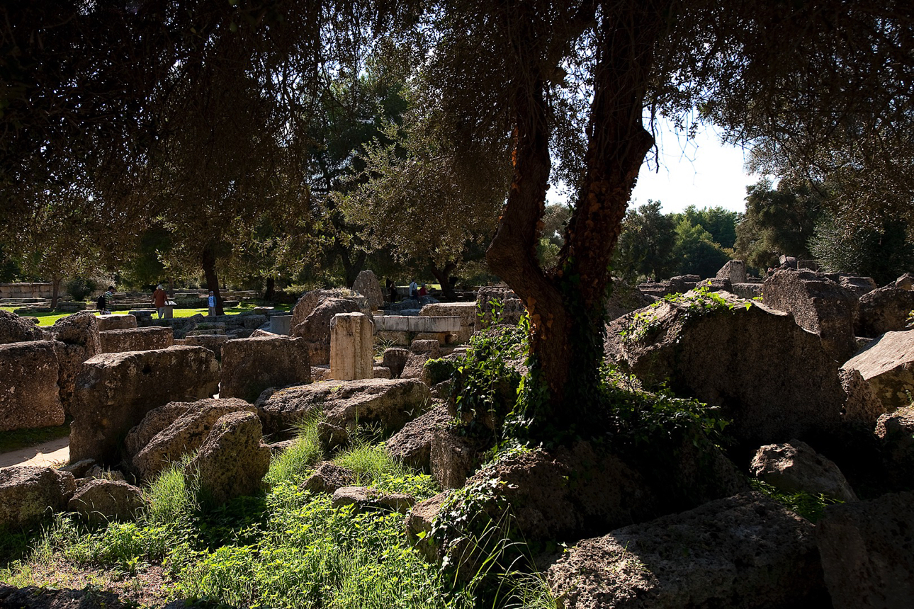 Le rovine di Olimpia. 