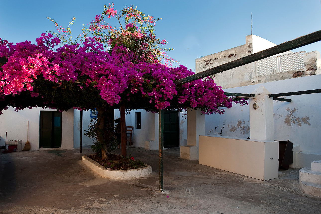 Locale tipico di Oia