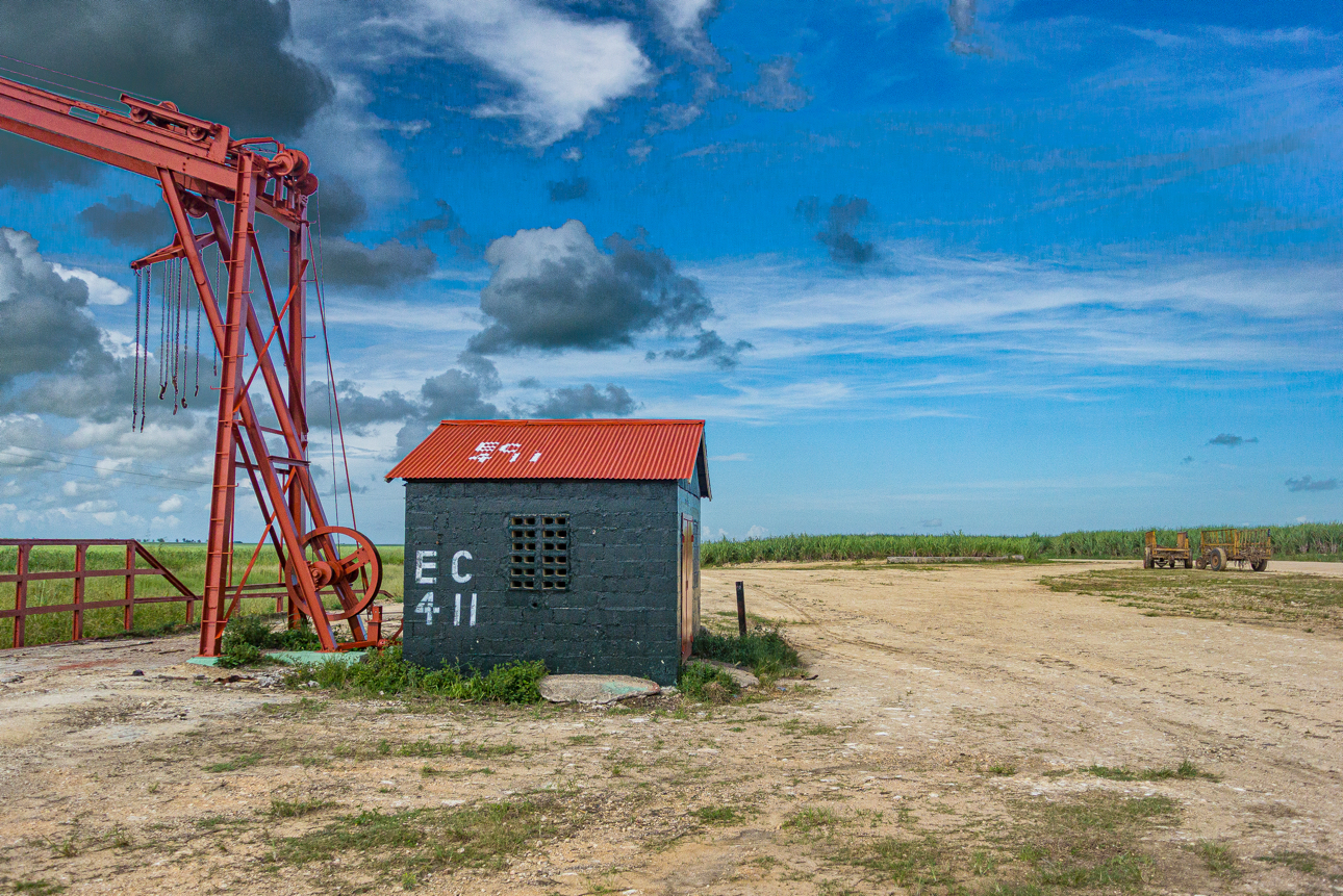 Piantagioni di canne da zucchero