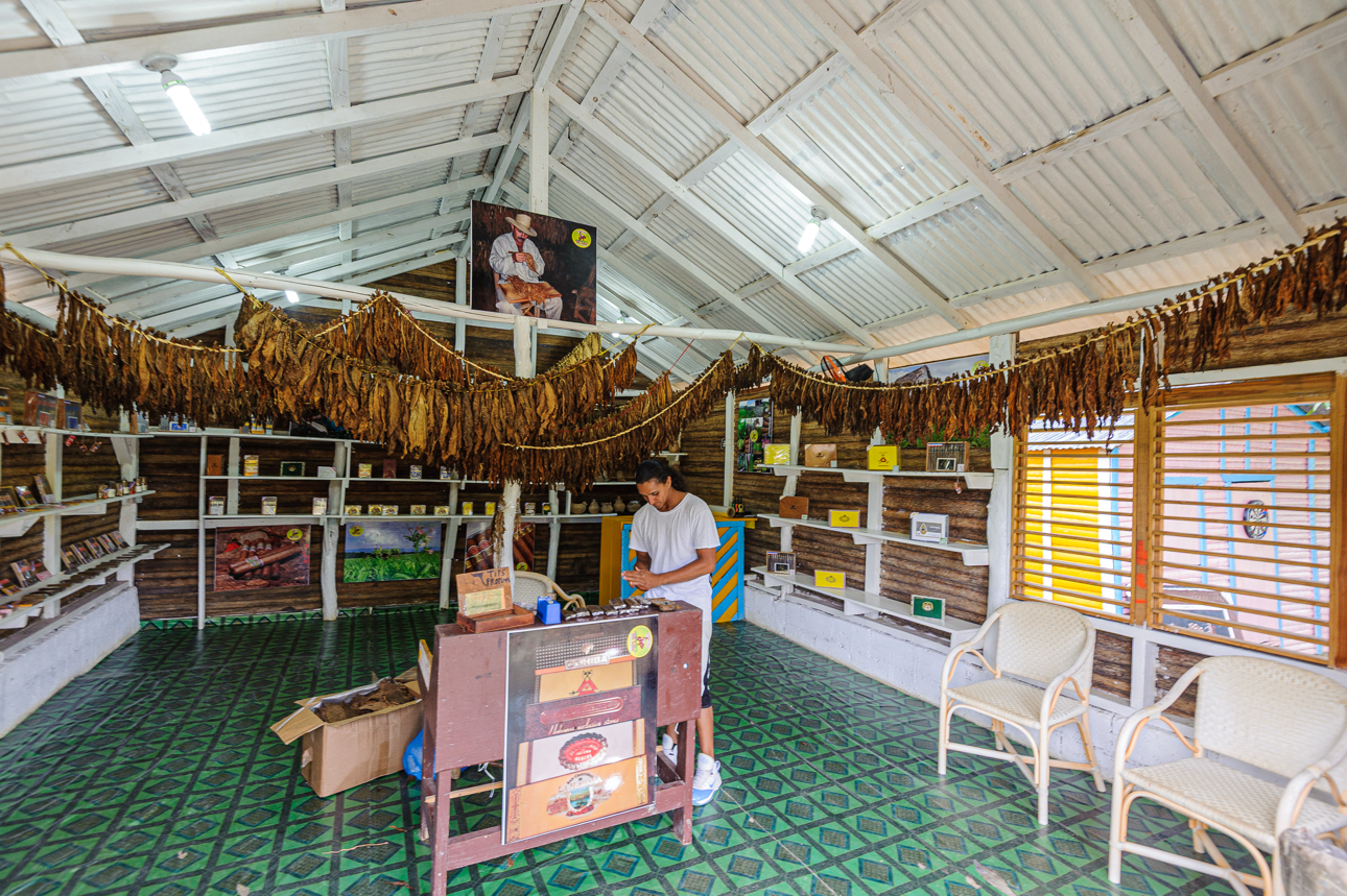 La zona di Anamuya vede piantagioni di cacao ma anche la lavorazione del tabacco &egrave; un'attivit&agrave; della zona
