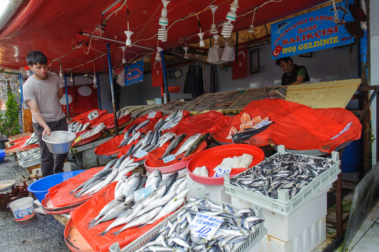 Banchi del pesce a uno dei mercati ittici di Istanbul