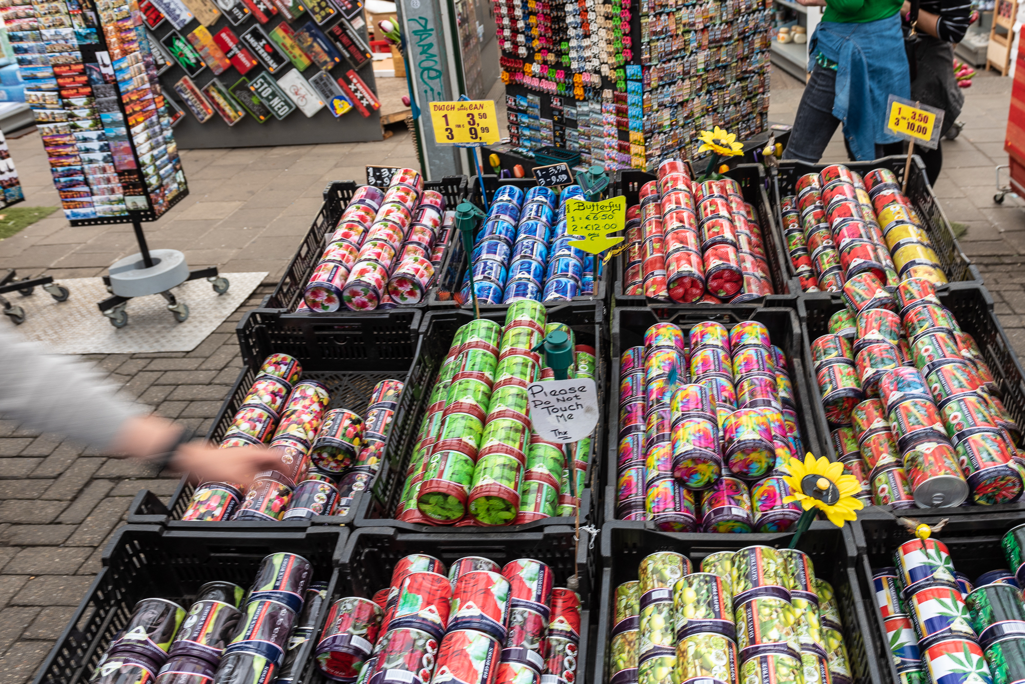 Bulbi di tulipano al Bloemenmarkt il mercato galleggiante dei fiori